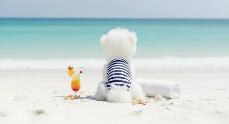 Summer dog accessories and outfits — lightweight styles for warm days