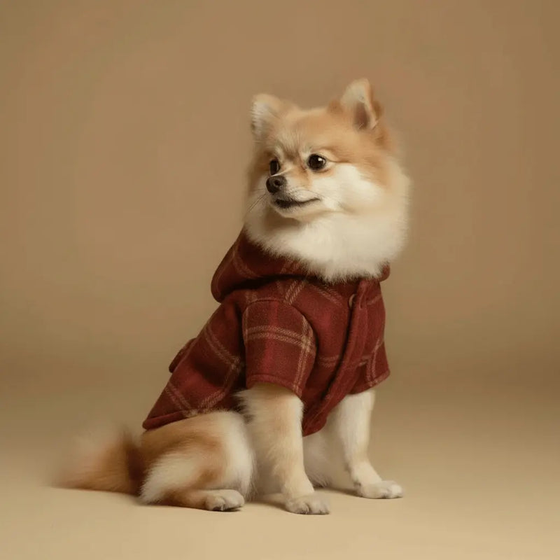 Coats-Jackets Cannier