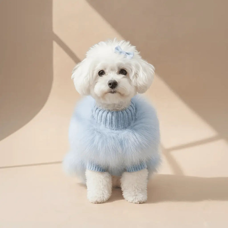 Elite-Selection Cannier