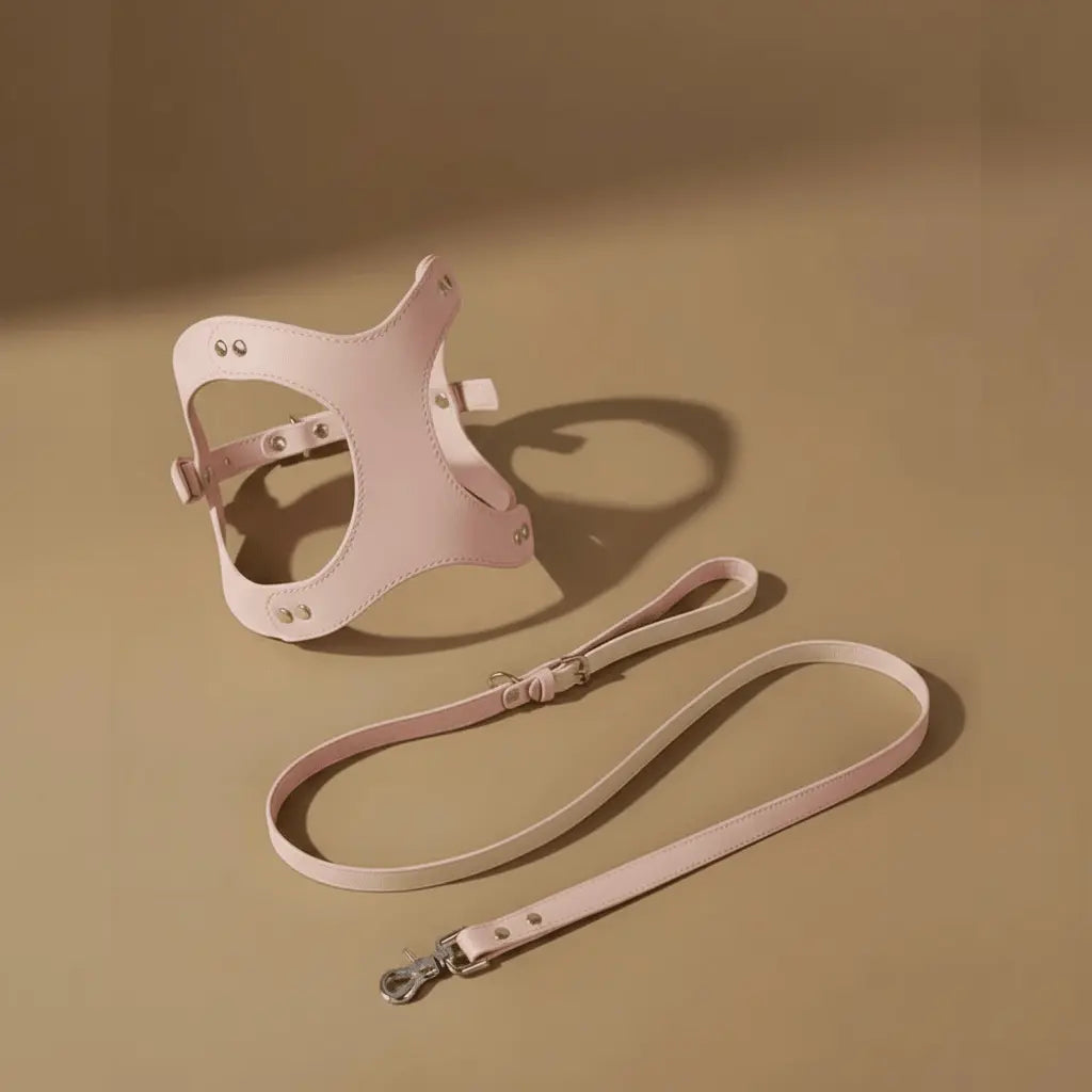 Harnesses-Collars-Leashes Cannier