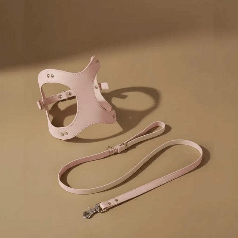 Harnesses-Collars-Leashes Cannier