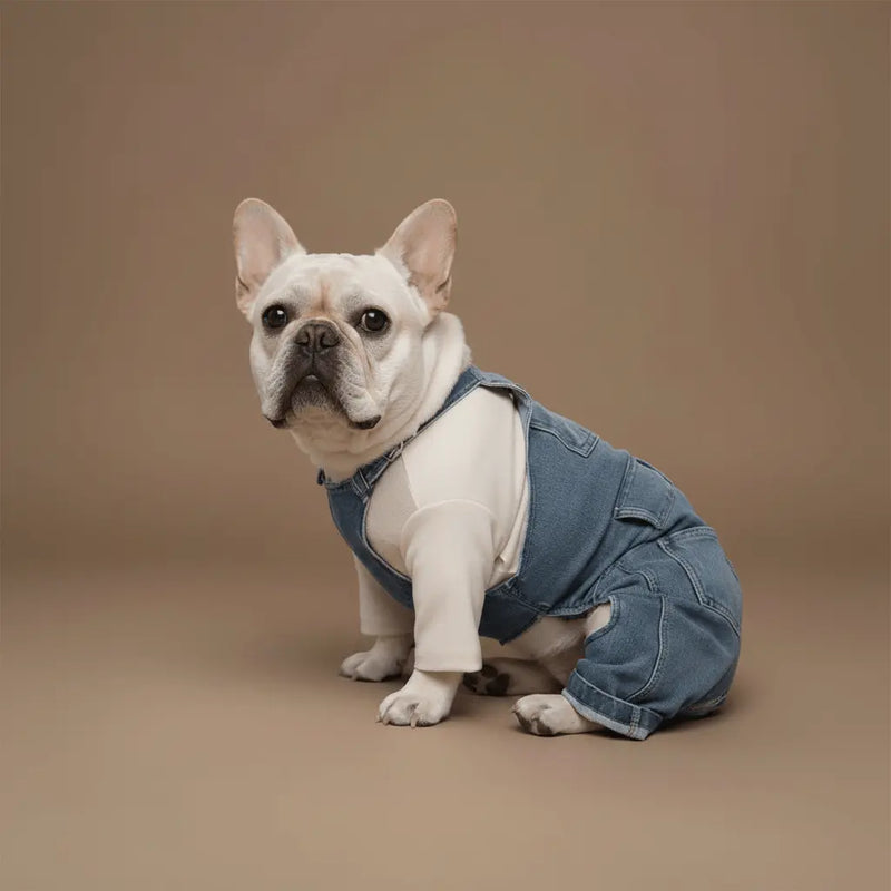 Little-Denim-Collection Cannier