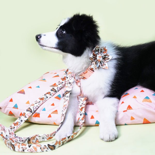 Butterfly Garden Collar & Leash Set - Mona & Milo