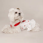 Cherry Twist cotton dress by Mona & Milo featuring a vibrant red and white cherry print, sleeveless design