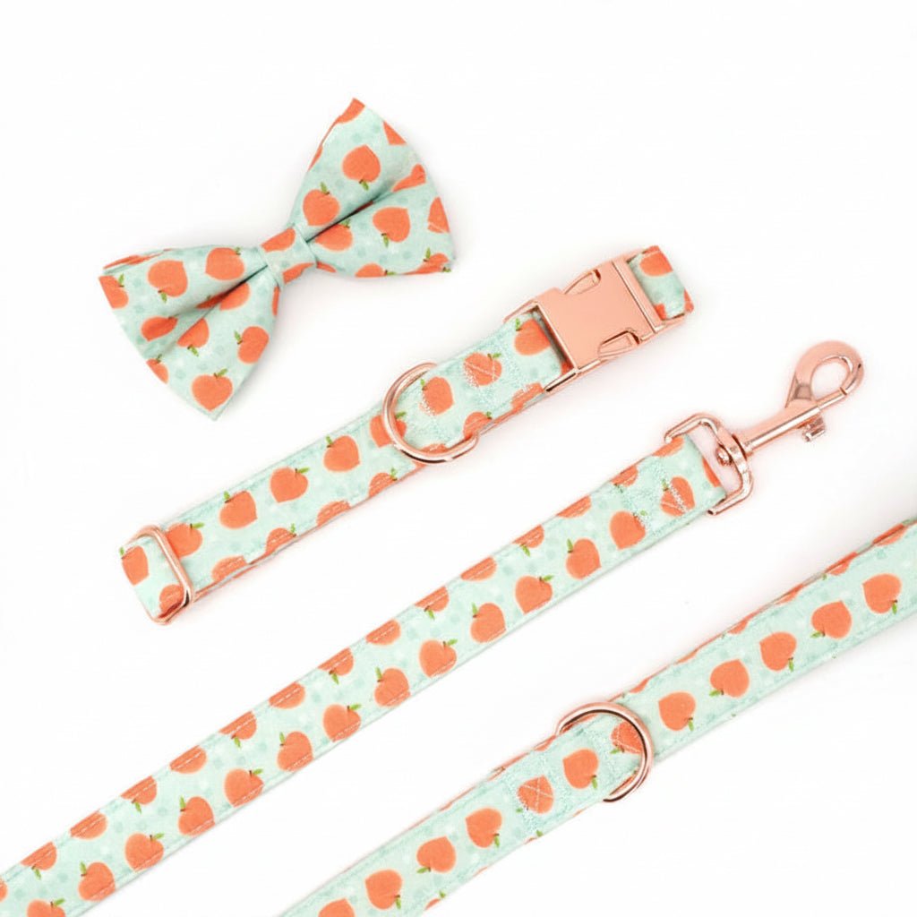 Mona & Milo Peach Bellini dog collar and leash set with a stylish peach and cream design for small to medium dogs.