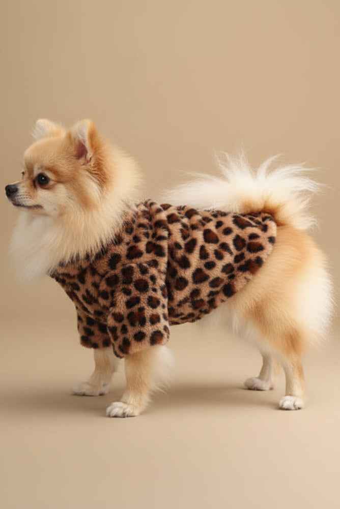 Élégant Dog Coat