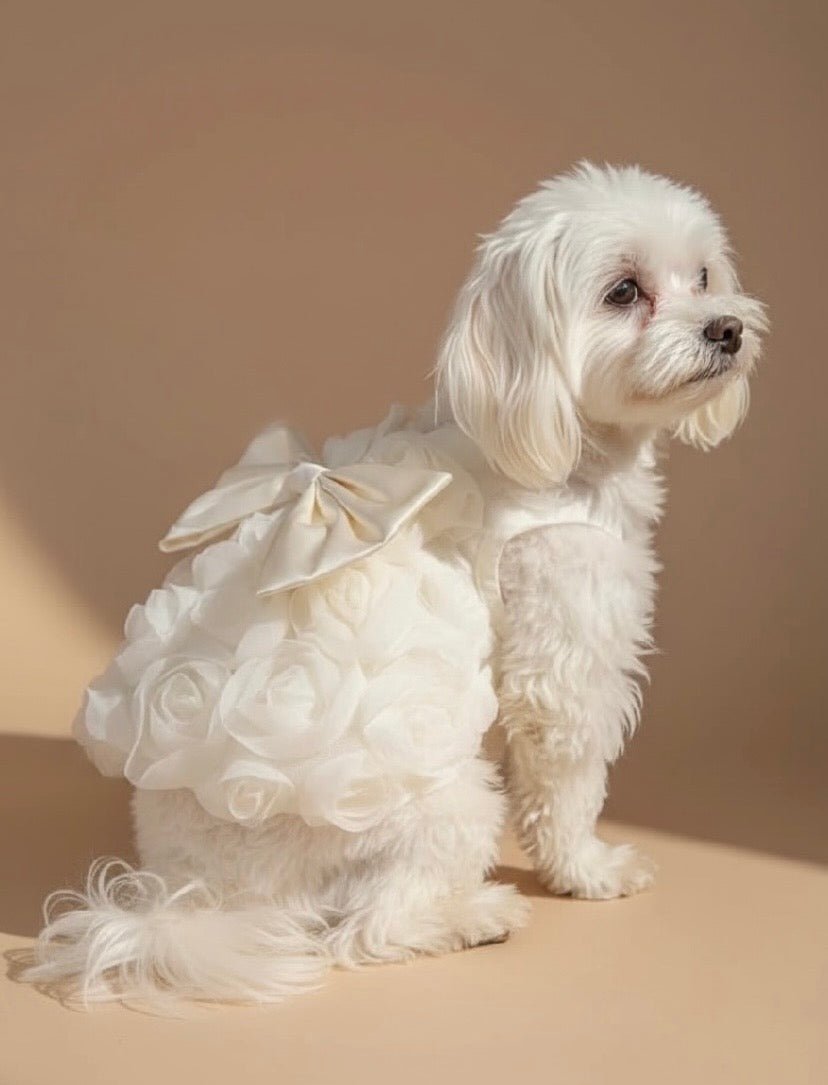 La Rose Dog Dress