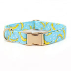 Banana Split Collar & Leash Set - Mona & Milo