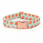 Peach Bellini dog collar and leash set by Mona & Milo, featuring a stylish peach-colored collar with matching leash.