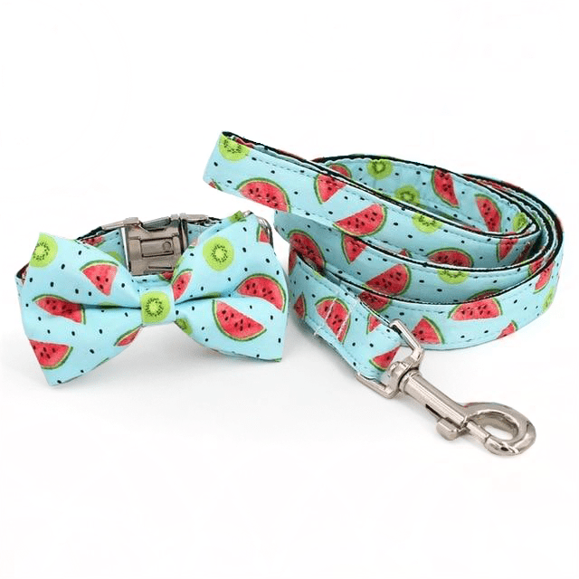 Watermelon Splash Collar & Leash Set - Mona & Milo