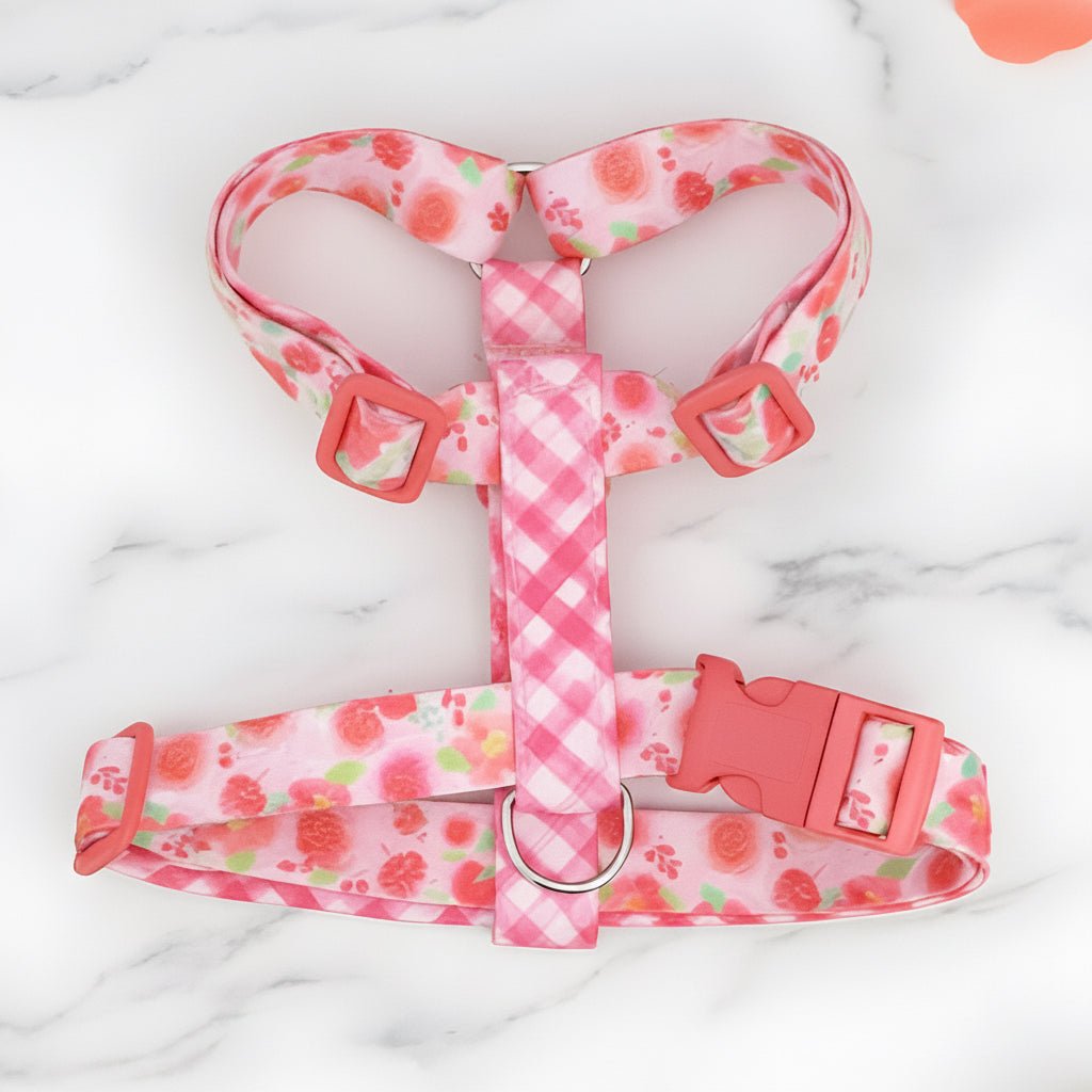 Forever Yours Harness Full Walk Set - Mona & Milo Dog Harness