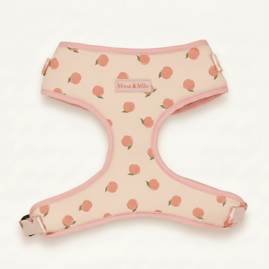 Dreamy Peach Full Walk Set - Dreamy Peach Full Walk SetDog HarnessMona & Milo
