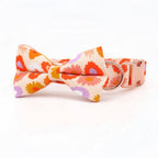 Mona & Milo Sundance dog collar and leash set with stylish design, adjustable collar and matching leash for pets.