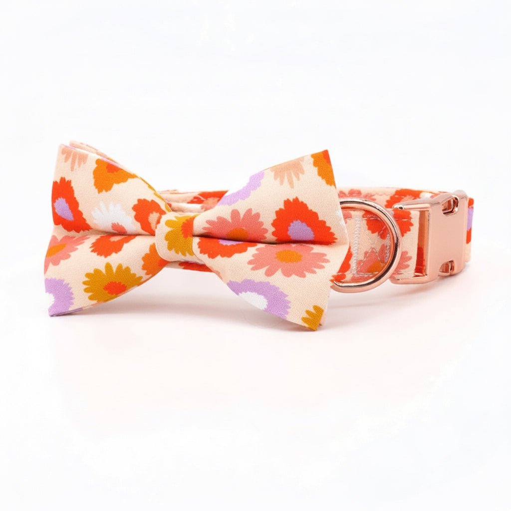 Mona & Milo Sundance dog collar and leash set with stylish design, adjustable collar and matching leash for pets.