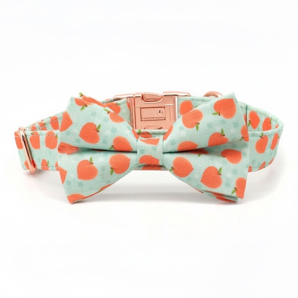 Peach Bellini collar and leash set for dogs from Mona & Milo, featuring a stylish peach-colored design and adjustable fit.