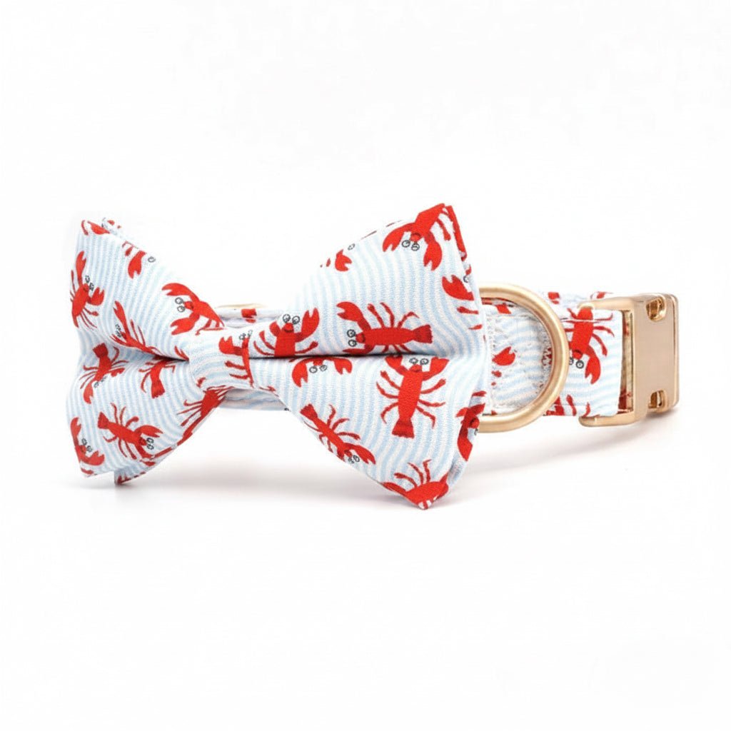 Claw-some Collar & Leash Set - Mona & Milo