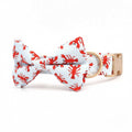 Claw-some Collar & Leash Set - Mona & Milo