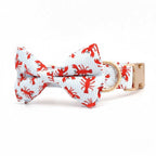 Claw-some Collar & Leash Set - Mona & Milo