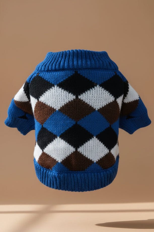 Beautiful small dog sweater for French Bulldog argyle detail close up
