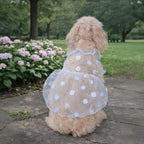 Mona & Milo Daisy Sheer Dress with flowing fabric and floral pattern, perfect for casual or semi-formal occasions.