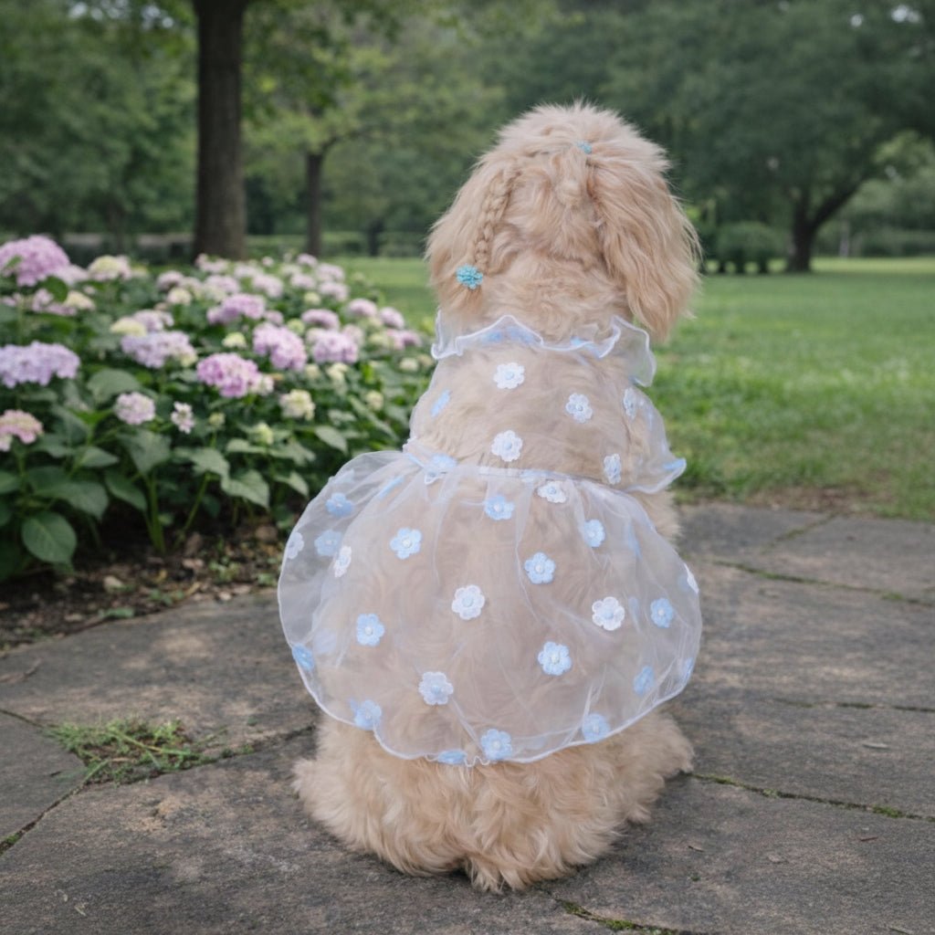Mona & Milo Daisy Sheer Dress with flowing fabric and floral pattern, perfect for casual or semi-formal occasions.