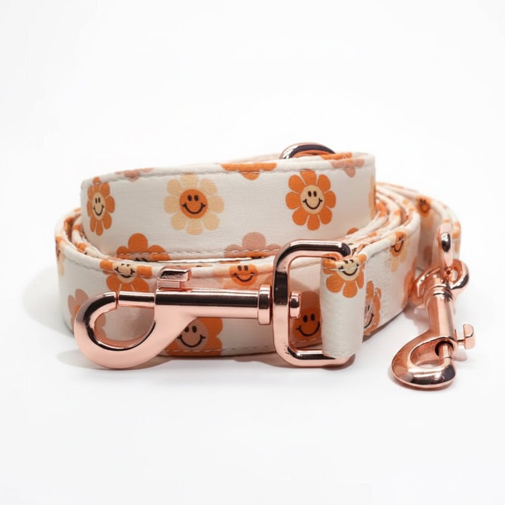 Smiley Daze Collar & Leash Set - Mona & Milo