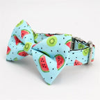Watermelon Splash Collar & Leash Set - Mona & Milo