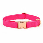 Kira Fuchsia Collar & Leash Set