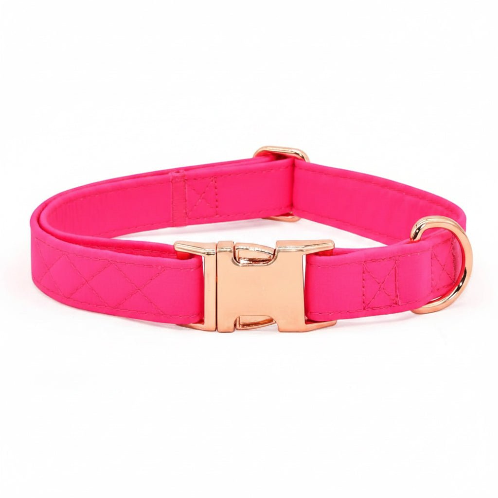 Kira Fuchsia Collar & Leash Set