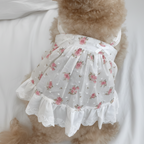 Mona & Milo Lola cotton floral dress featuring a colorful floral pattern and a relaxed, comfortable fit.
