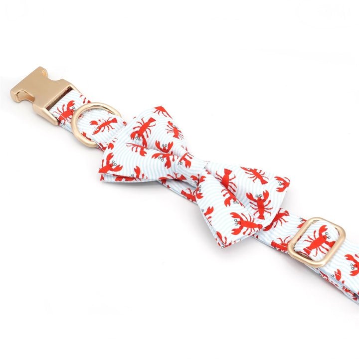 Claw-some Collar & Leash Set - Mona & Milo