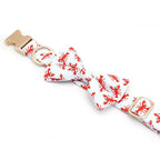 Claw-some Collar & Leash Set - Mona & Milo