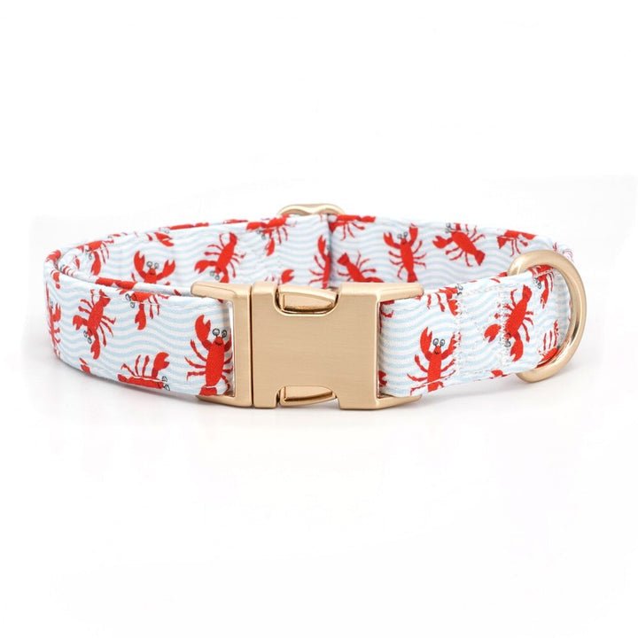 Claw-some Collar & Leash Set - Mona & Milo