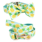 Pineapple Parade Collar & Leash Set - Mona & Milo