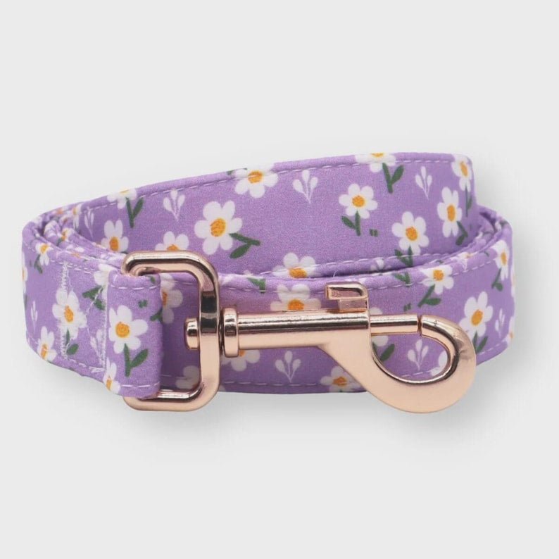 Lavender Fields Full Walk Set - Mona & Milo