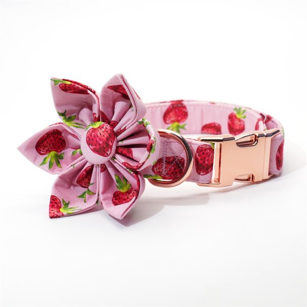 Mona & Milo Berry Belle dog collar and leash set with pink and purple floral design on a white background.