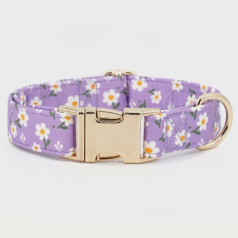 Lavender Fields Full Walk Set - Mona & Milo