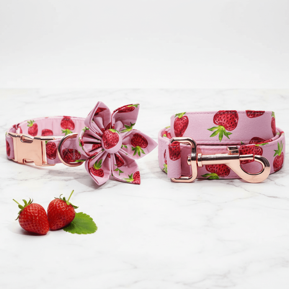 Mona & Milo Berry Belle dog collar and leash set with pink and purple floral design on fabric,