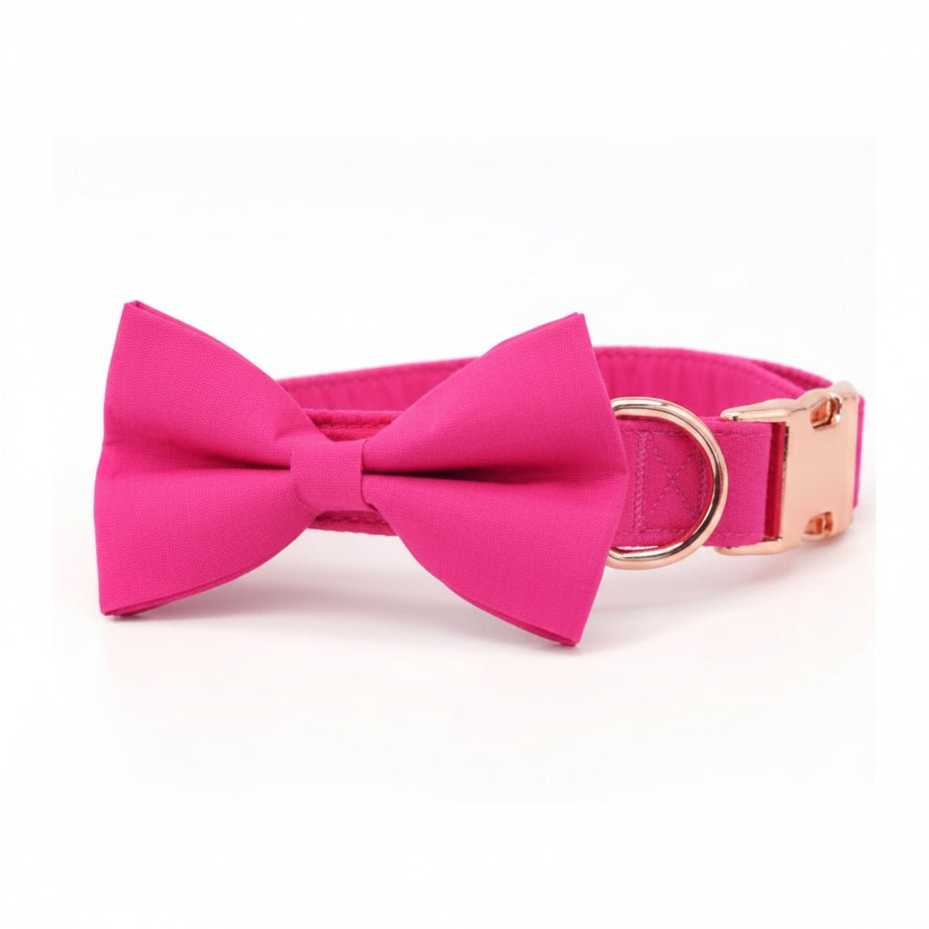 Kira Fuchsia Collar & Leash Set