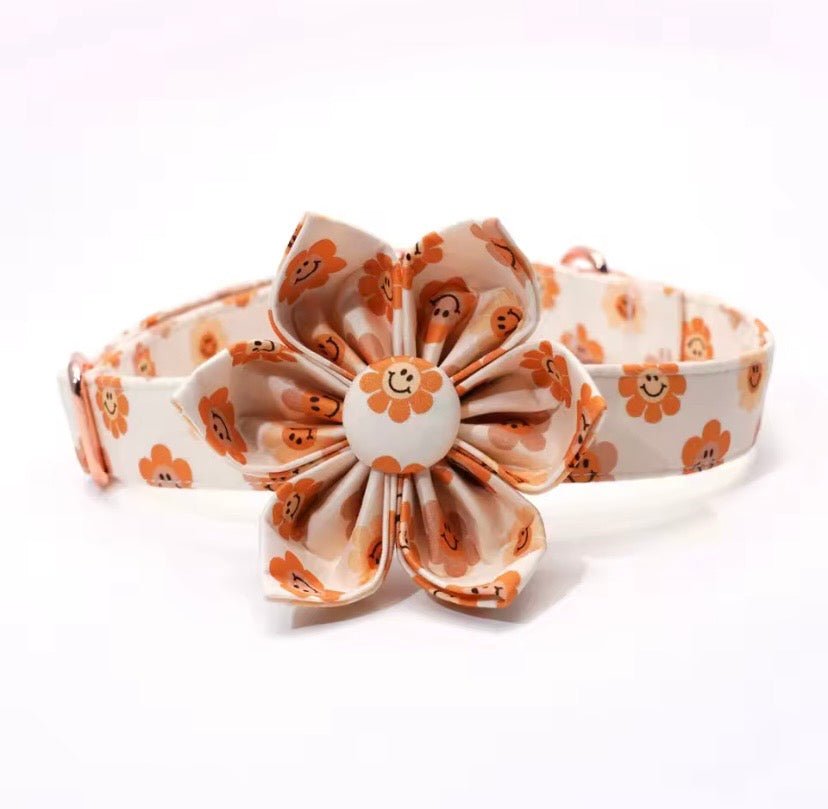 Smiley Daze Collar & Leash Set - Mona & Milo