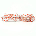 Sandy Claws Collar & Leash Set - Mona & Milo