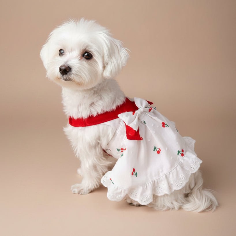 Cherry Twist cotton dress by Mona & Milo, featuring a vibrant cherry pattern, sleeveless design