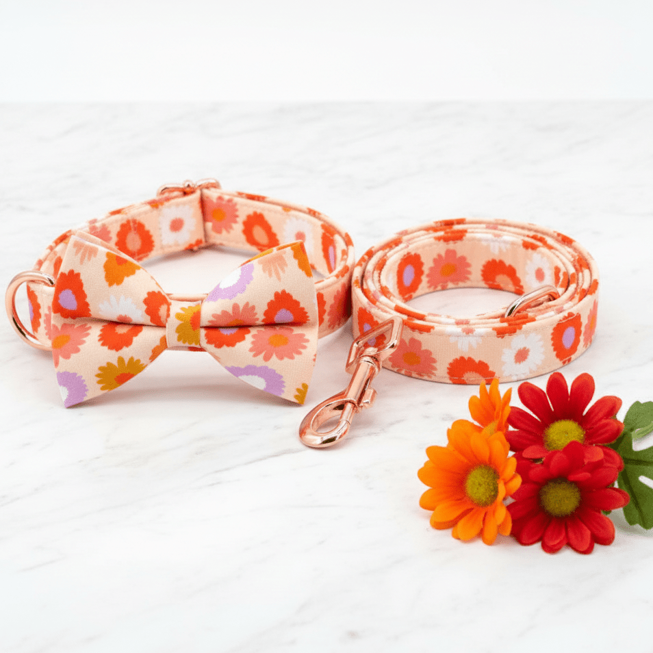 Mona & Milo Sundance dog collar and leash set with stylish design, adjustable collar and matching leash for pets.
