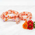 Mona & Milo Sundance dog collar and leash set with stylish design, adjustable collar and matching leash for pets.