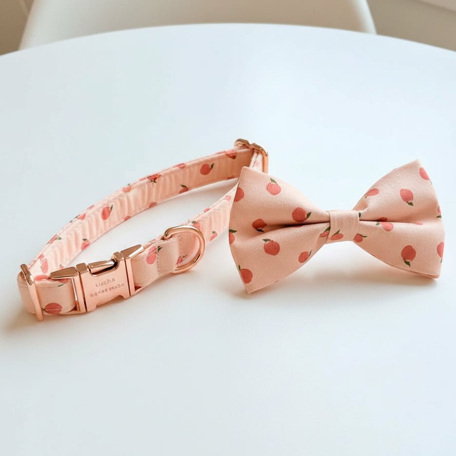 Dreamy Peach Full Walk Set - Dreamy Peach Full Walk SetDog HarnessMona & Milo
