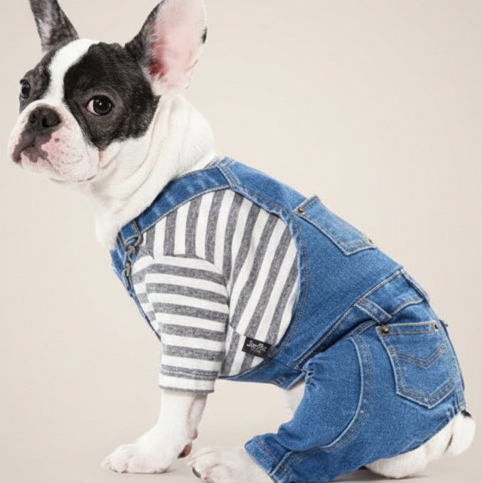 Mona & Milo Hugo denim jumpsuit overalls for women, featuring a casual fit and classic blue denim fabric.