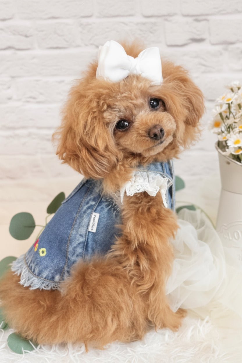 Garden Song Denim Dress - Mona & Milo
