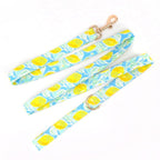 Lemon Drop Collar & Leash Set - Mona & Milo