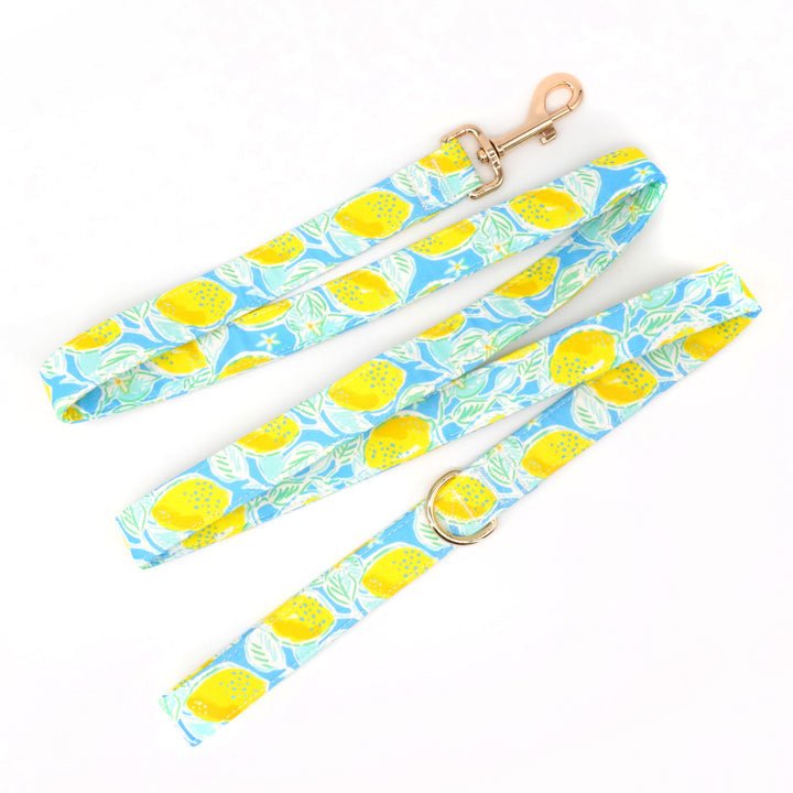 Lemon Drop Collar & Leash Set - Mona & Milo
