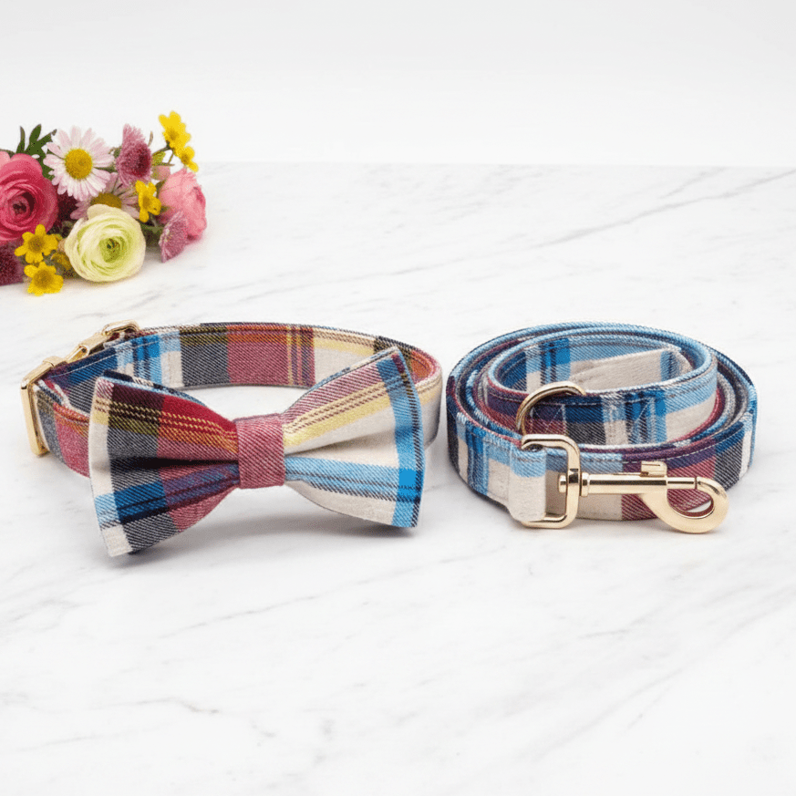 Mr. Darcy Collar & Leash Set - Mona & Milo